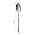 Polished stainless steel dinner spoon variant, length 19.7cm with slim handle design - Dinner Spoon / Silver