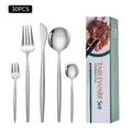 30-piece silver stainless steel cutlery set with elegant vertical storage box - Original Steel / Green Box