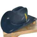 Classic black wool felt cowboy hat with three-color feather accent on wood surface - 60CM / Black