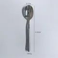 Cuillère de service en acier inox 304 polie, 21,8 cm pour l'hôtellerie et la table - Style Moonlight Cuillère à Servir