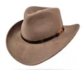 Detail of taupe wool felt cowboy hat with dark brown belt and gold metal plaque - L / Camel