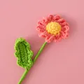 Gros plan d'une fleur de marguerite faite main au crochet aux pétales roses - Rose Pêche