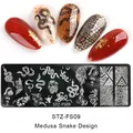 Plaque de stamping pour nail art avec motifs de serpent Medusa et roses pour manucure - Plaque D'acier Stz-fs09