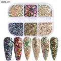 Détail du kit de paillettes à ongles 6 compartiments avec poudre de sucre et sequins - Style Mixte Holographique Métallique (1909-15)