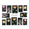 Adesivi per unghie ad acqua con motivi floreali stile raggi X e numero serie STZ-694 - Floreale Colorato Raggi X (STZ694)