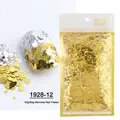 Paillettes esagonali oro e argento in busta da 50g per decorazioni unghie sfumate - Oro Argento (1928-12)