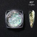 Polvere glitter per unghie opale aurora iridescente #07 in scatola con applicatore - Polvere di Opale in Bottiglia OB07