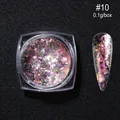 Polvere glitter per unghie opale aurora #10 con effetto camaleonte in box da 0,1g - Polvere di Opale in Bottiglia OB10