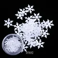 Paillettes blanches en forme de flocons de neige pour ongles, boîte DX02 - Blanc (DX02)