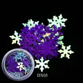 Donkerpaarse sneeuwvlok nagel pailletten in potje voor DIY manicure stijl DX05 - Aurora Blauw Paars (DX05)