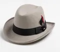Detail van lichtgrijze wollen fedora met zwart ripsband en rode veer als versiering - Beige