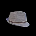 Classic beige Fedora straw hat with brown striped band on black background - Beige Mixed (1)