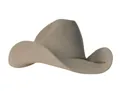 Detail view of the gray felt cowboy hat featuring a classic indented crown and textured brim - Earth Grey
