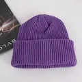 Purple ribbed knit beanie for winter with wide cuff displayed on a white background - Adult / Purple