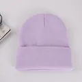 Lavender purple rib-knit beanie with a wide cuffed brim for autumn and winter warmth - Light Purple