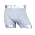 Silver grey silk boxer briefs for men on a mannequin with a breathable knit design - 2XL / Silver Grey