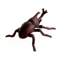 Realistic reddish-brown stag beetle insect model made of durable PVC for educational play - Unicorn Beetle