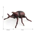 Modello realistico di scarabeo rinoceronte da 13,5 cm con dimensioni e texture biologica - Scarabeo Rinoceronte (127-657)