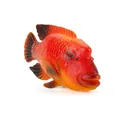 Realistic orange tropical fish toy with detailed scale texture and lifelike fins - Red Humphead Wrasse (PL127-1156)