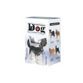 Scatola a sorpresa con statuetta realistica di cane Husky e confezione serie cani famosi - Serie Cani Famosi / Stile Casuale Singolo