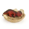 Detailed red dinosaur hatchling figurine in a broken beige eggshell base - Giganotosaurus