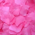 Close-up texture of rose pink silk-like artificial petals for wedding decoration - Rose Red