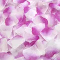 Pink and white gradient artificial rose petals with realistic silk texture for weddings - Gradient Purple
