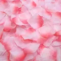Macro detail of pink gradient artificial rose petals with soft fabric texture for weddings - Gradient Pink