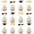 12-piece black and gold 2026 graduation cupcake toppers with mortarboards and scrolls - 2026 Scroll Graduation Cap Style / Gold