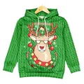 Green Christmas kids hoodie with reindeer pixel art and Merry Christmas print - 120cm / Hooded Style (T101-008)