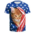 Men's loose T-shirt with creative 3D orange cat and American flag graphic print - Ripped Flag Cat Style (B121-295)