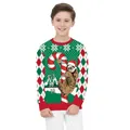 Kids Christmas sloth sweatshirt with 3D print and green red argyle pattern sleeves - L / Green Sloth Print