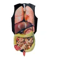 Halloween cosplay vest met realistische anatomische print van menselijke organen - Kinderen / Ingewanden Stijl (PD-1105)