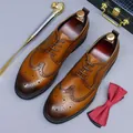 Men's brown gradient brogue leather shoes with classic wingtip carving and lace-up design - EU 37 / Brown