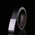 Dettaglio della fibbia in metallo argento su cintura in pelle bicolore nera e marrone - Stile Liscio Argento(703)