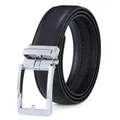 Macro shot of men's leather belt showing fine grain texture and silver metal buckle - Silver Buckle Black