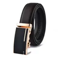Macro detail of men's leather belt featuring a refined golden buckle and stitching - 110cm / Style 208 Gold Buckle Brown