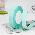 Roll of 2cm mint green grosgrain ribbon for gift wrapping and DIY hair accessories - Standard Roll / Aqua Blue
