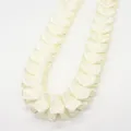 Ivoor 2,5 cm geplooid rucheslint voor doe-het-zelf handwerk en kledingdecoratie - Beige