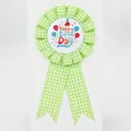 Green gingham birthday rosette ribbon with happy birthday badge for party favors - Balloon Style(BH-198) / Fruit Green