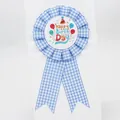 Blue and white gingham birthday rosette ribbon with a happy birthday tinplate badge - Balloon Style(BH-198) / Haze Blue