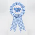 Blue plaid Birthday Boy award ribbon badge for boy party celebration supplies - Boy Style(008) / Haze Blue