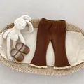 Dettaglio dei pantaloni in velluto a coste per neonati con pizzo e trama a coste - 73cm / Marrone