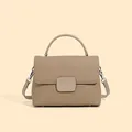 Classic camel lychee grain leather shell bag with handle and metal buckle strap - Elephant Gray