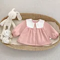 Detail of pink toddler shirt with lace collar and baby shoes in a woven basket - Long Sleeve Lace Lapel Shirt / Pink / 73