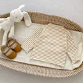 Gestreiftes Langarmshirt für Mädchen mit Stehkragen und Rüschen in Beige und Braun - 66CM / Braun Gestreift