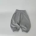 Light gray cotton sports joggers for boys with elastic waistband and graphic print - Gray / 110cm