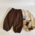 Kids spring outfit with brown embroidered pants and beige cartoon elephant sweatshirt - 90cm / Brown