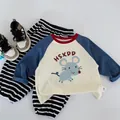 Detailed flat lay of toddler raglan long sleeve tee and striped pants set - 120cm