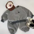 Boys gray and black striped sweatshirt and jogger pants set with cartoon prints - 90cm / Grey Stripe